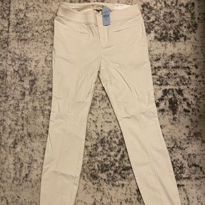 Loft 00 petite pants